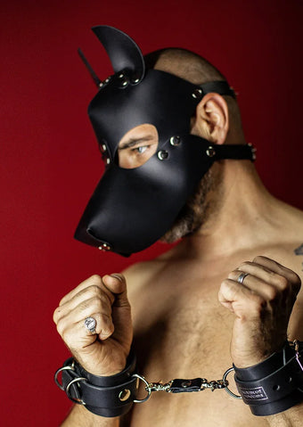 Men Dog mask